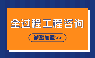 工程建设服务市场中的全过程工程咨询项目目前有哪些类型你知道吗？